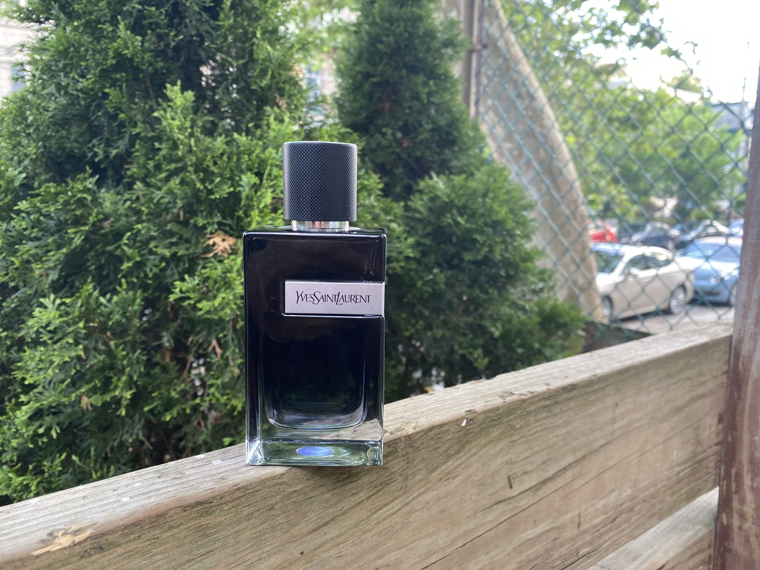 Yves Saint Laurent Y EDP  Honest Fragrance Review - Suparfum
