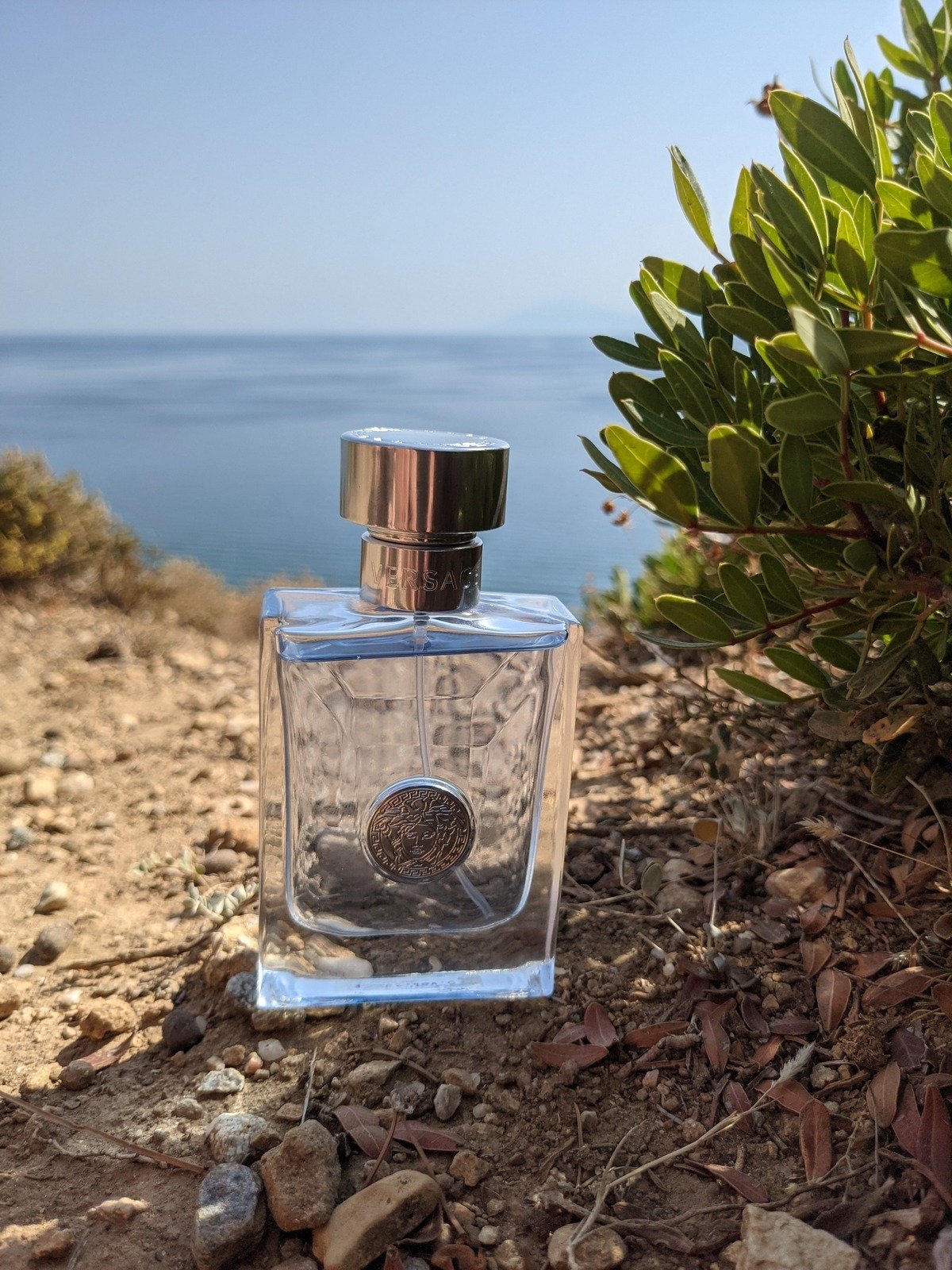 Versace Pour Homme Fragrance Review